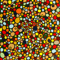 Cellule